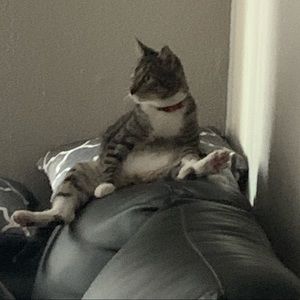 Meet your Posher, Jared